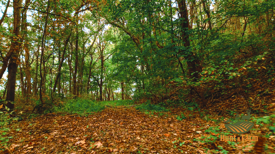 Still 2025-10-30 092500_1.26.1.png